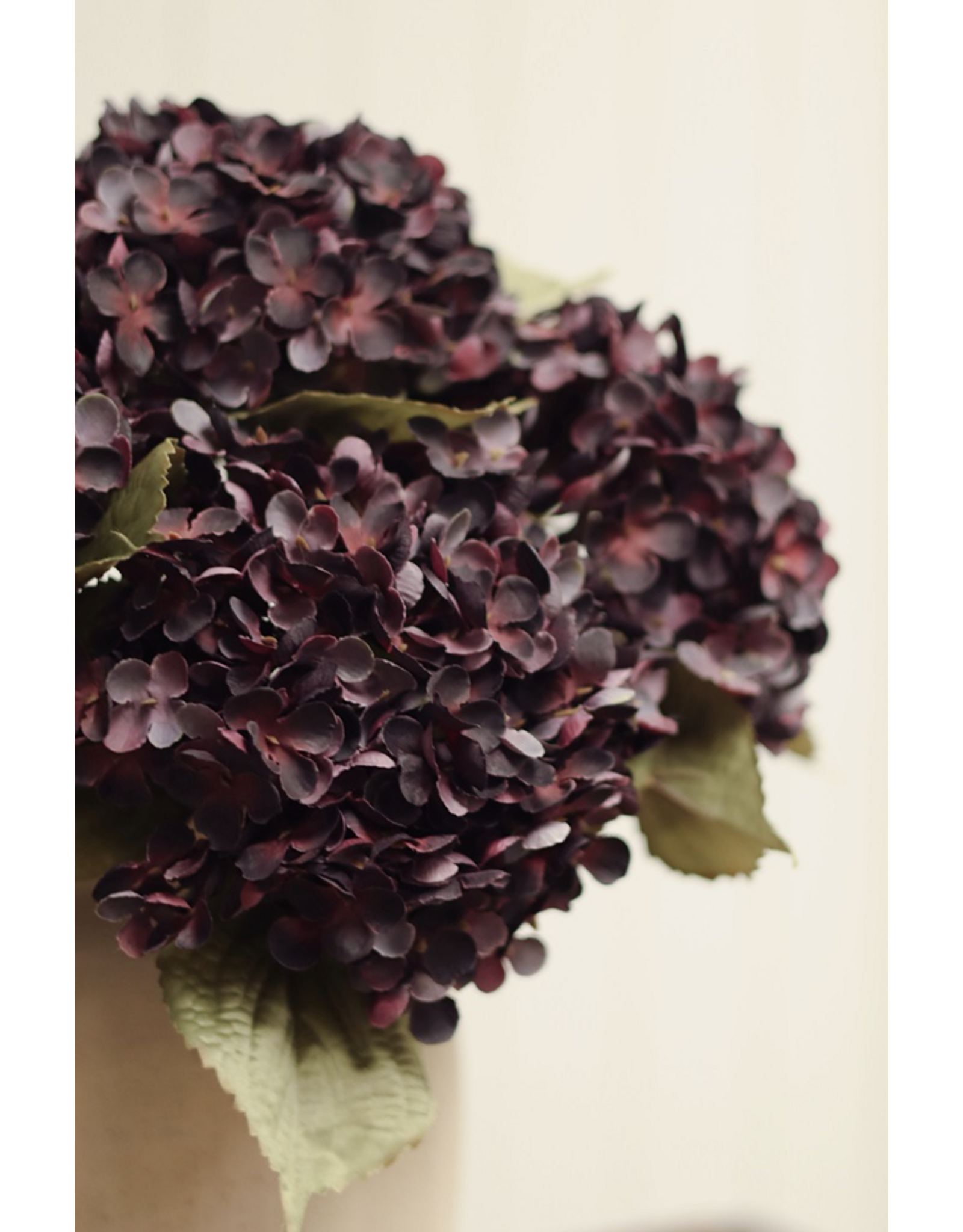 Heriloom, Hydrangea Stem, Deep Purple