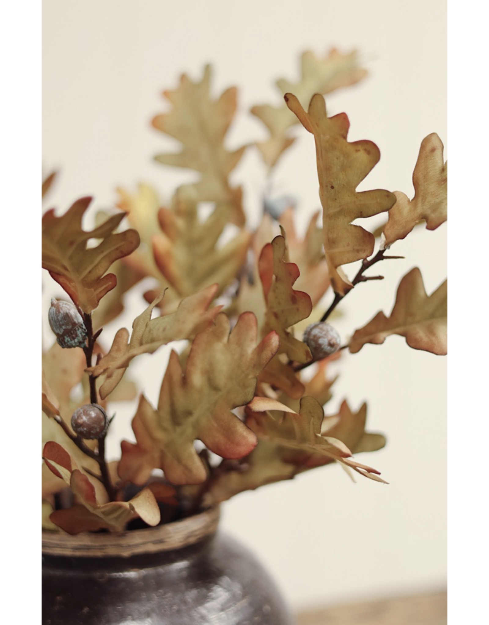 Oak Leaf Spray