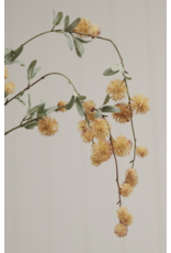 Golden Globe Flower Spray