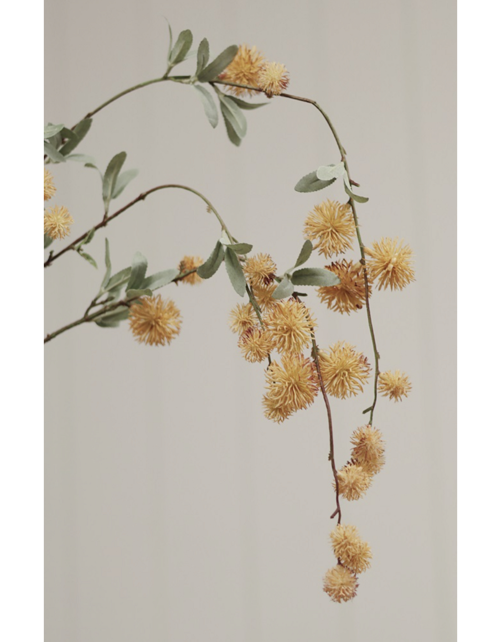 Golden Globe Flower Spray