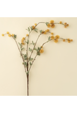 Golden Globe Flower Spray