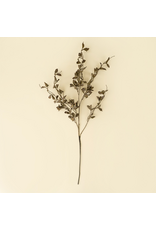 Smoked Eucalyptus Spray