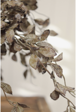 Smoked Eucalyptus Spray