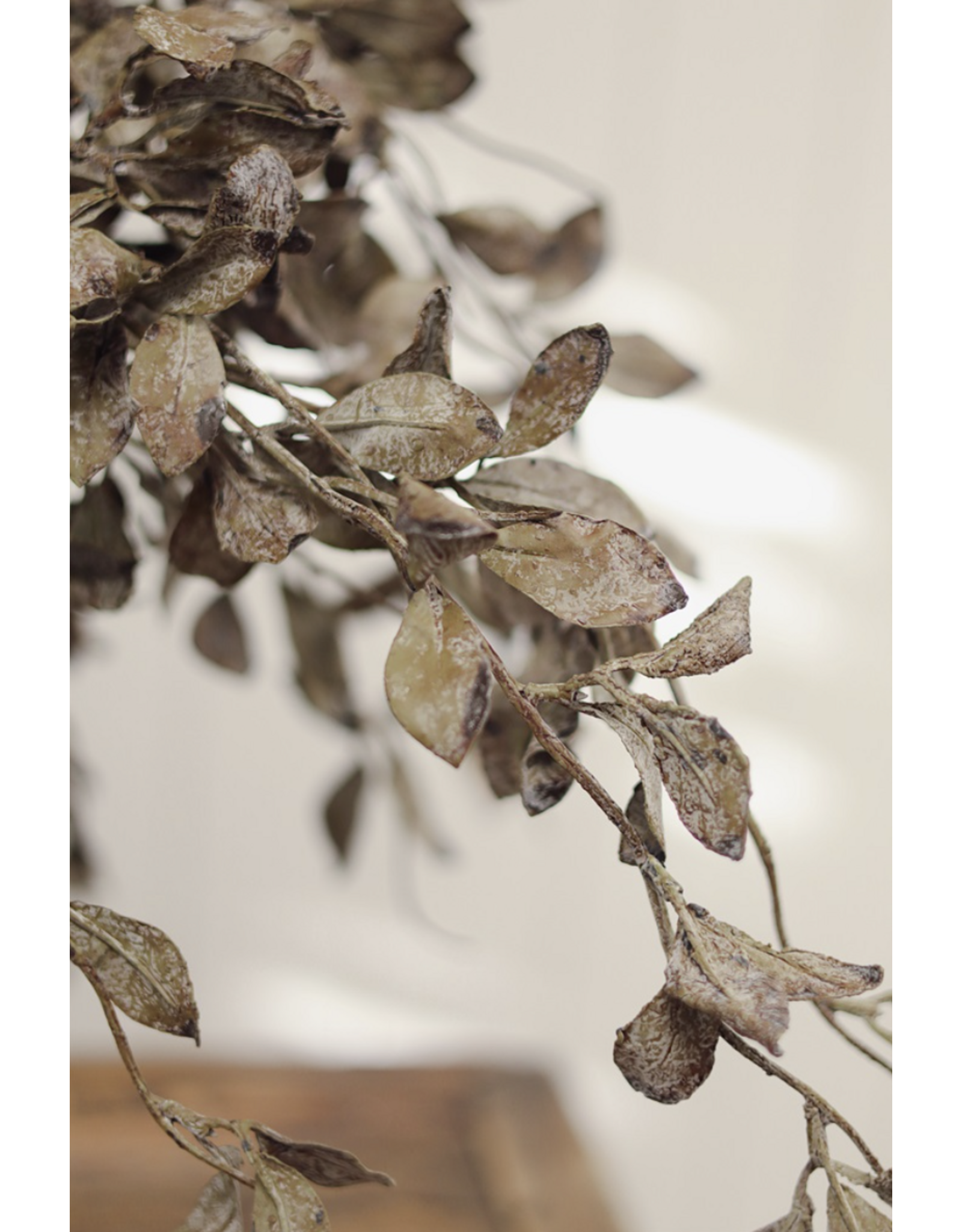 Smoked Eucalyptus Spray