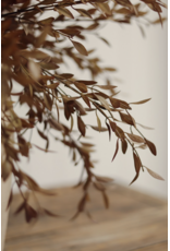Willow Leaf Spray, Harvest
