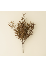 Willow Leaf Spray, Harvest