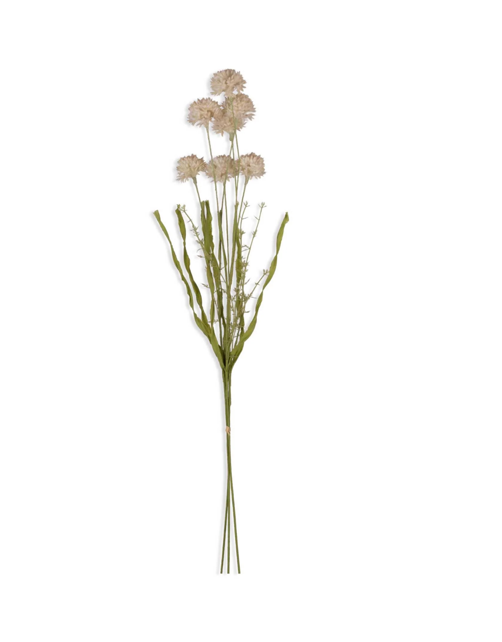 Artificial Melaleuca L, Cream