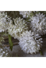Artificial Melaleuca L, Cream