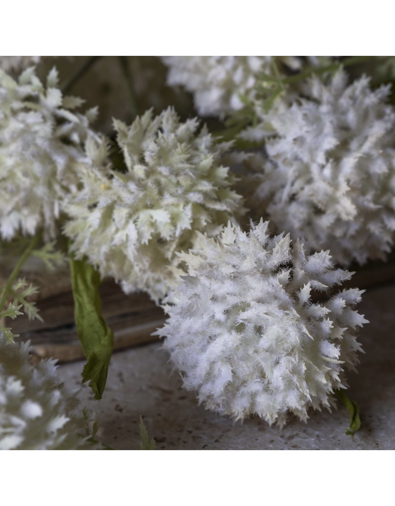 Artificial Melaleuca L, Cream