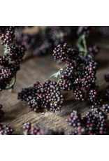 Artificial Wild Winter Berry, Claret