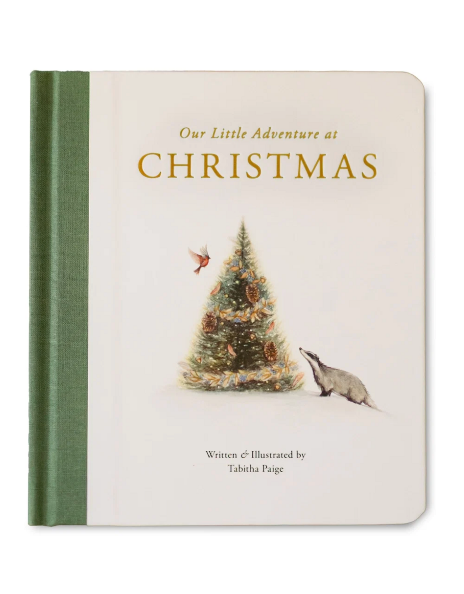 Our Little Adventure at Christmas: