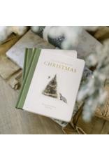 Our Little Adventure at Christmas: