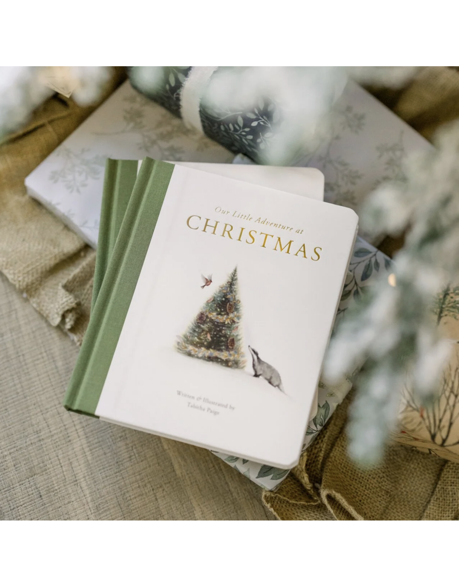 Our Little Adventure at Christmas: