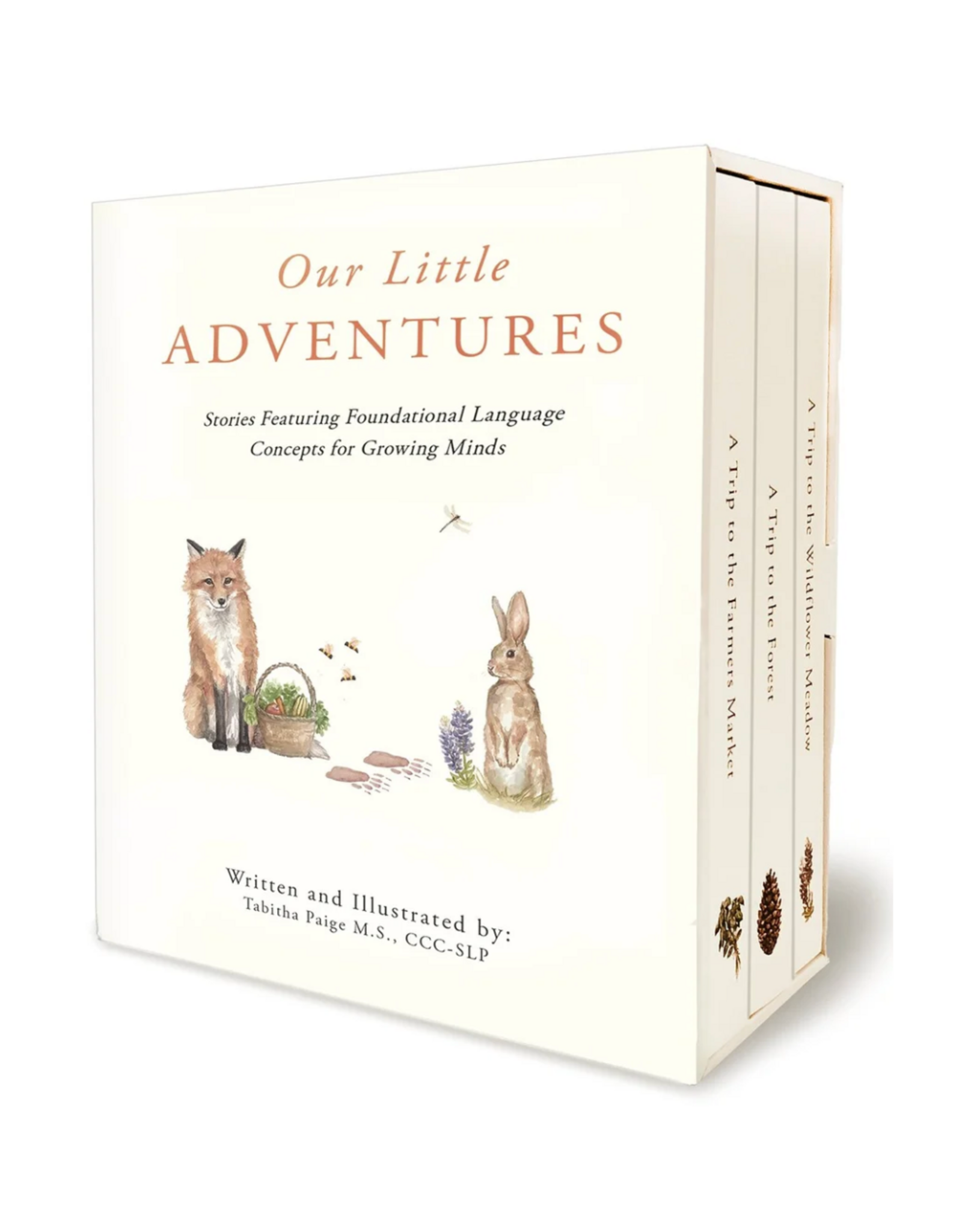 Our Little Adventures: Stories Featuring Foundational Language Concepts for Growing Minds