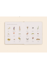 Our Little Adventures: Stories Featuring Foundational Language Concepts for Growing Minds