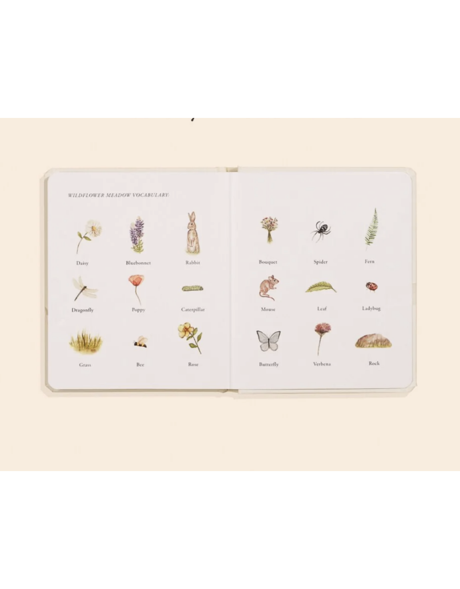 Our Little Adventures: Stories Featuring Foundational Language Concepts for Growing Minds