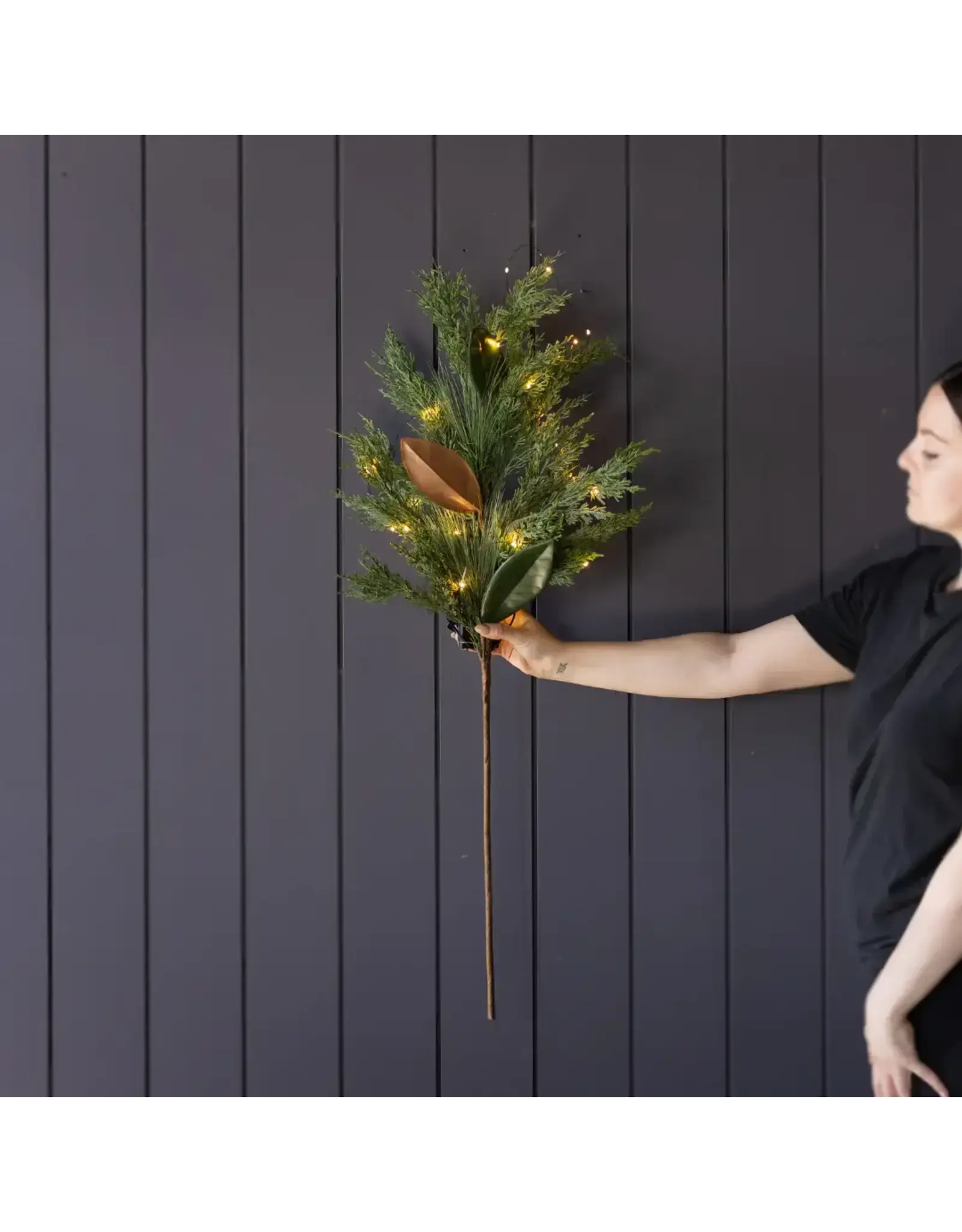 Magnolia Norfolk Cypress Pre Lit Stems - 42"