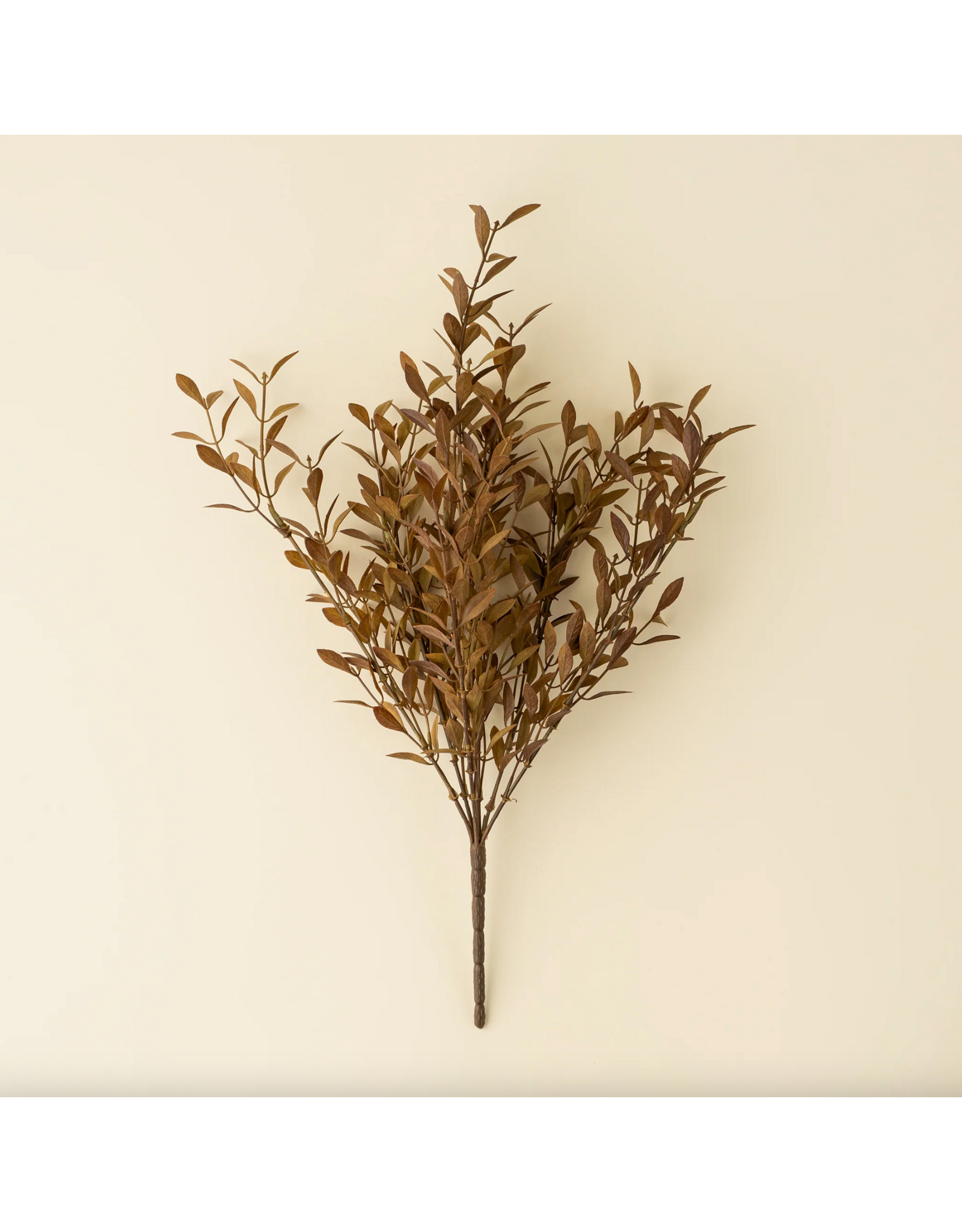 Willow Leaf Spray, Harvest