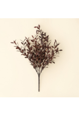Willow Leaf Spray, Plum