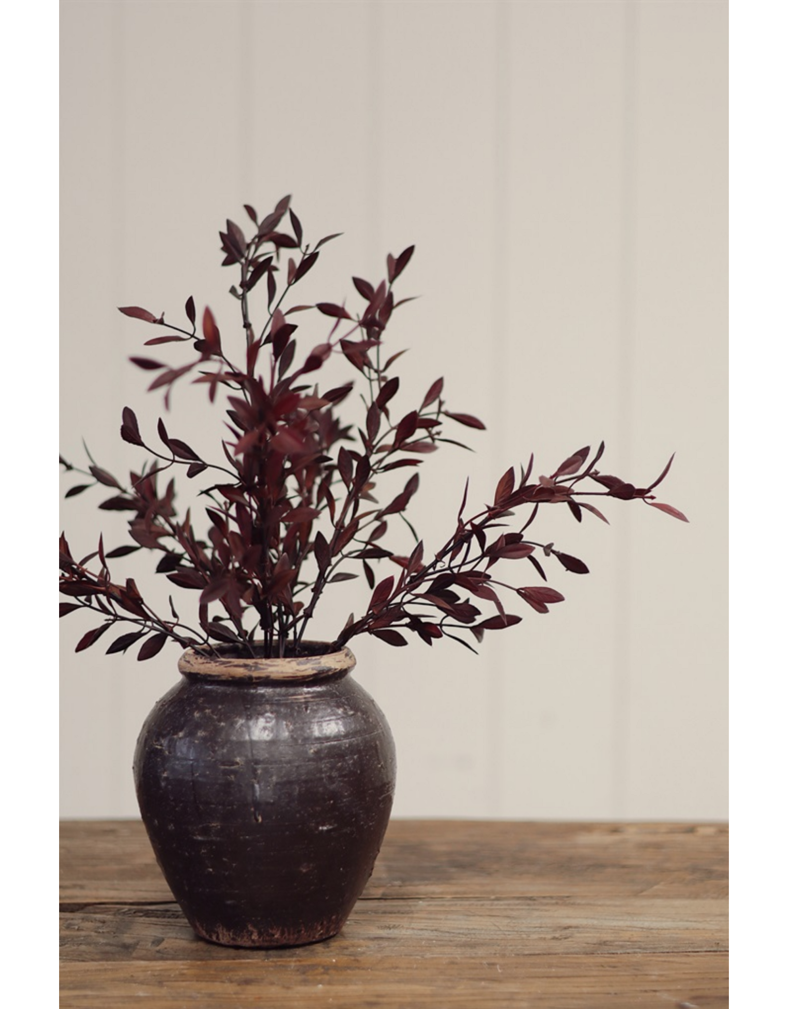 Willow Leaf Spray, Plum