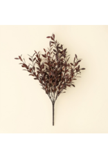 Willow Leaf Spray, Plum
