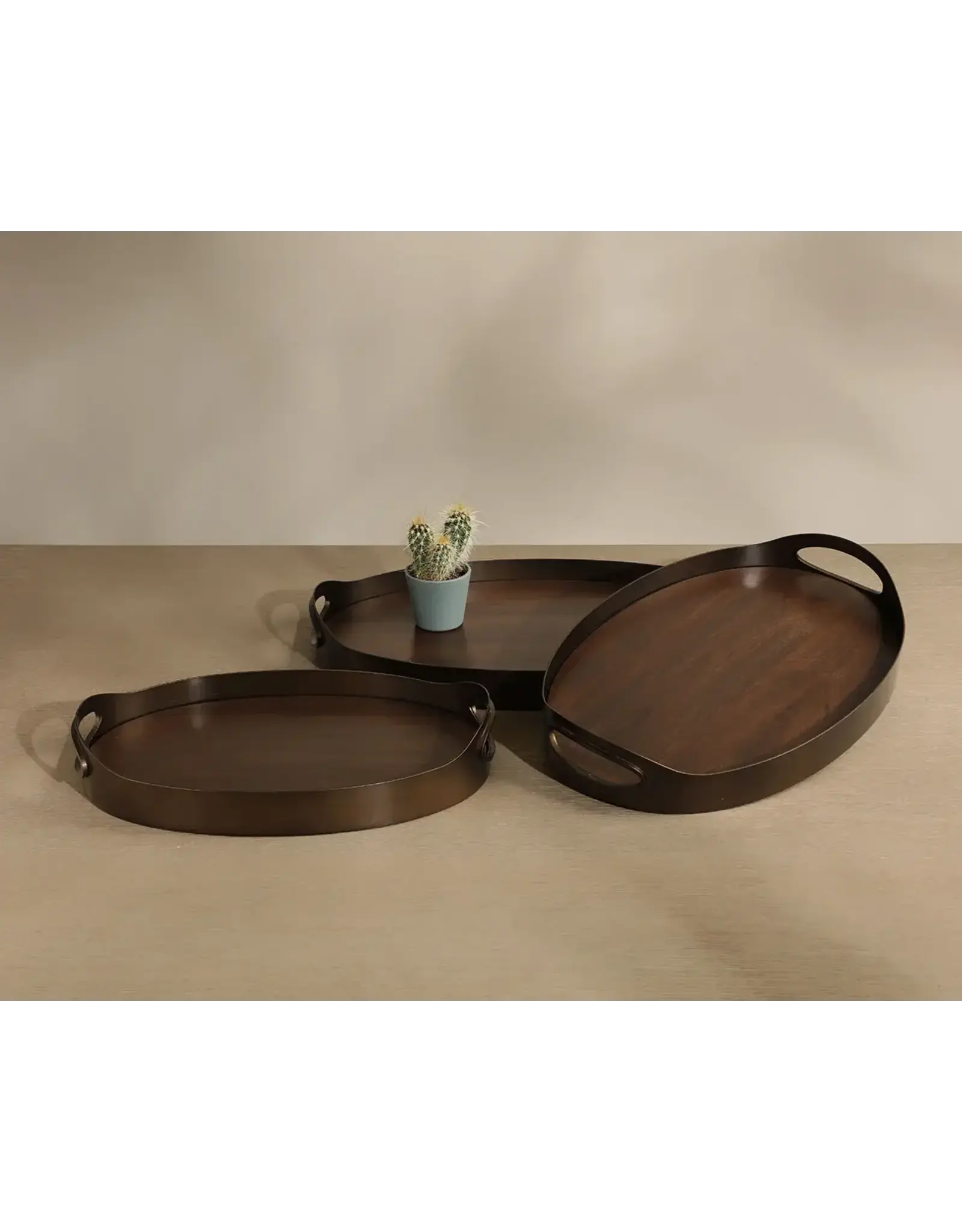 Delhi Tray