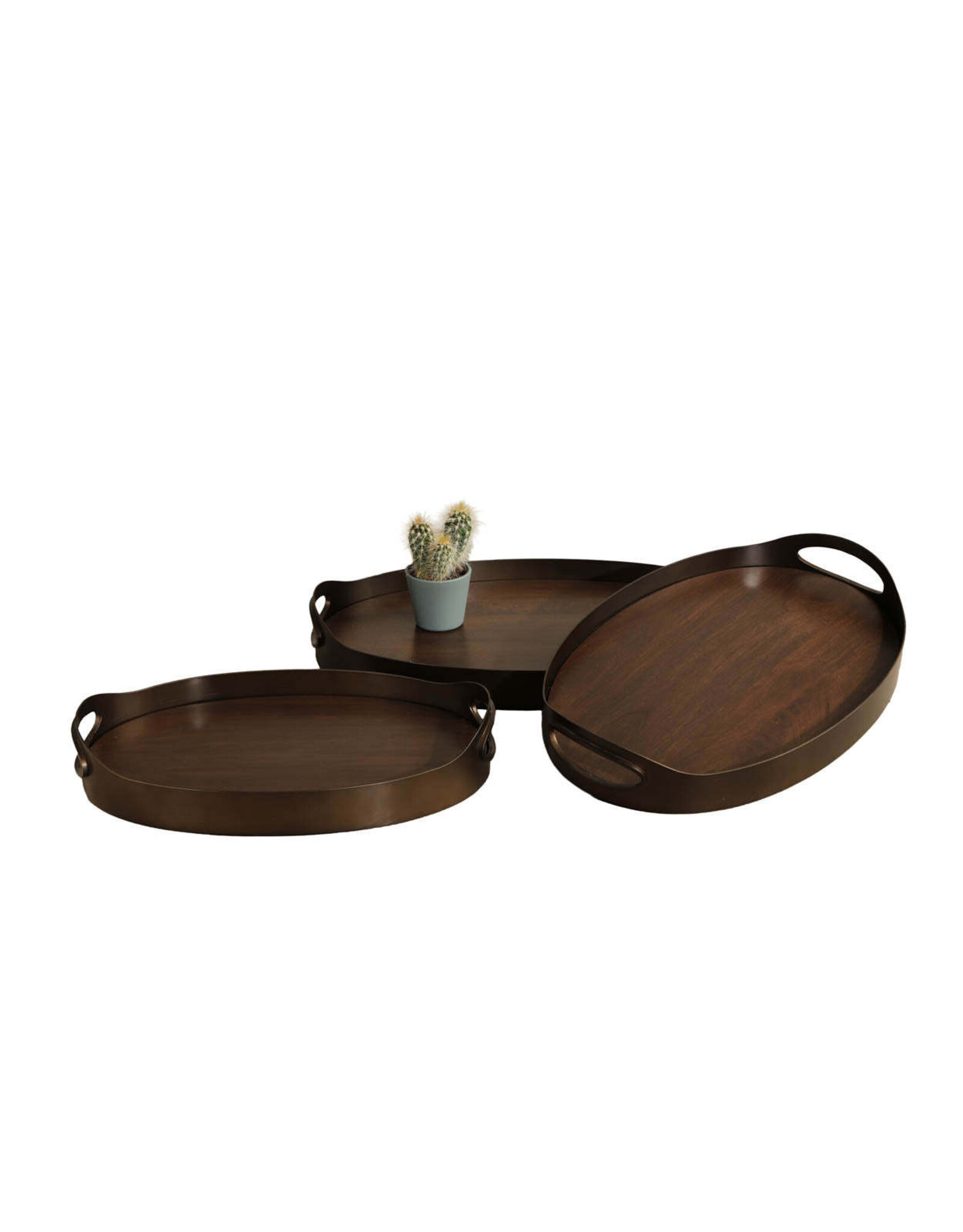Delhi Tray