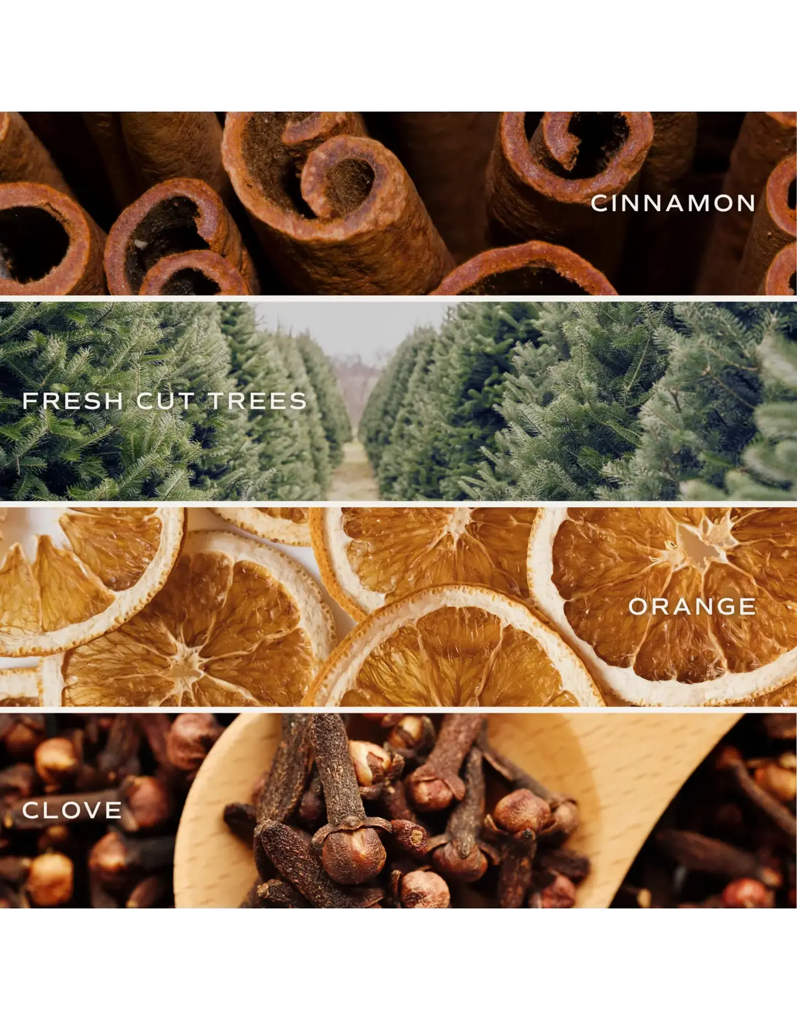 Christmas 12 oz Boxed Soy Candle