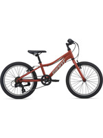 Giant Bicycles XtC Jr 20 Lite Red Clay