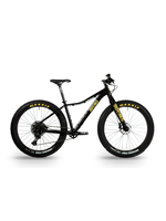 Borealis Borealis Flume, New! Black and Yellow! Support your Pittsburgh colors! NX 12 Speed Build, SRAM
