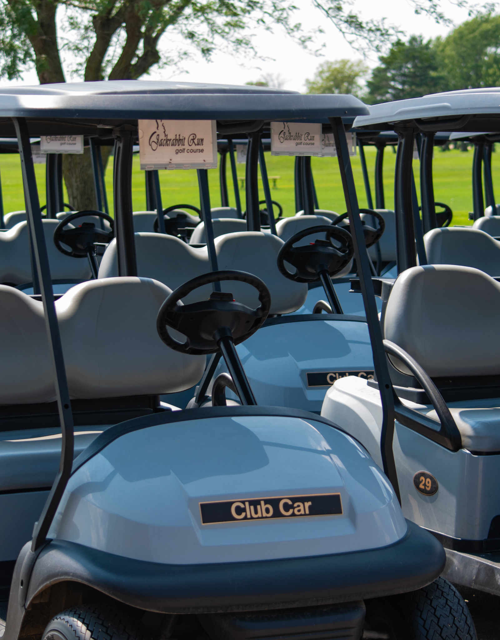 7-Day Cart Pass - Individual