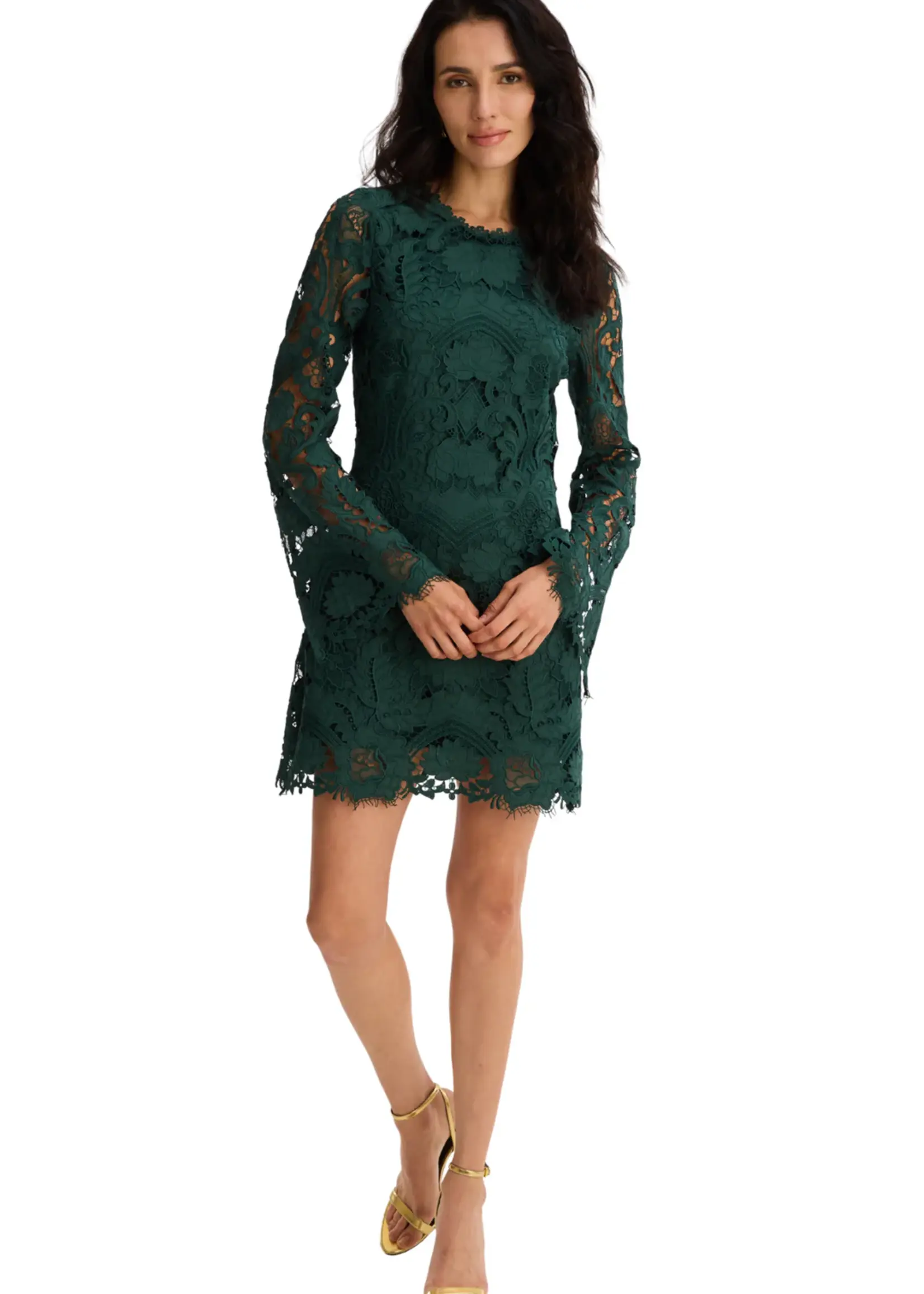 Allison Allison Daisey Lace Dress