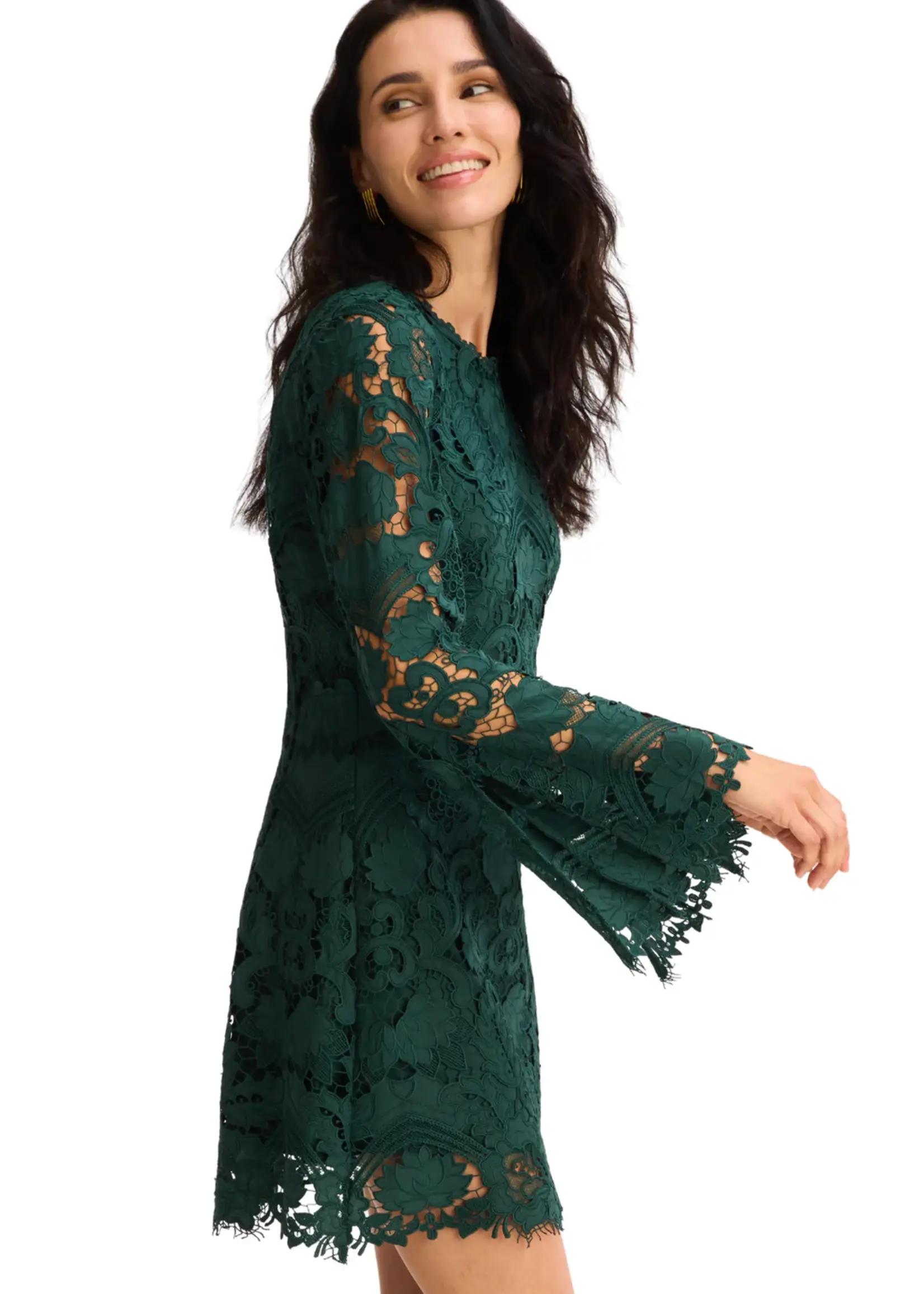 Allison Allison Daisey Lace Dress