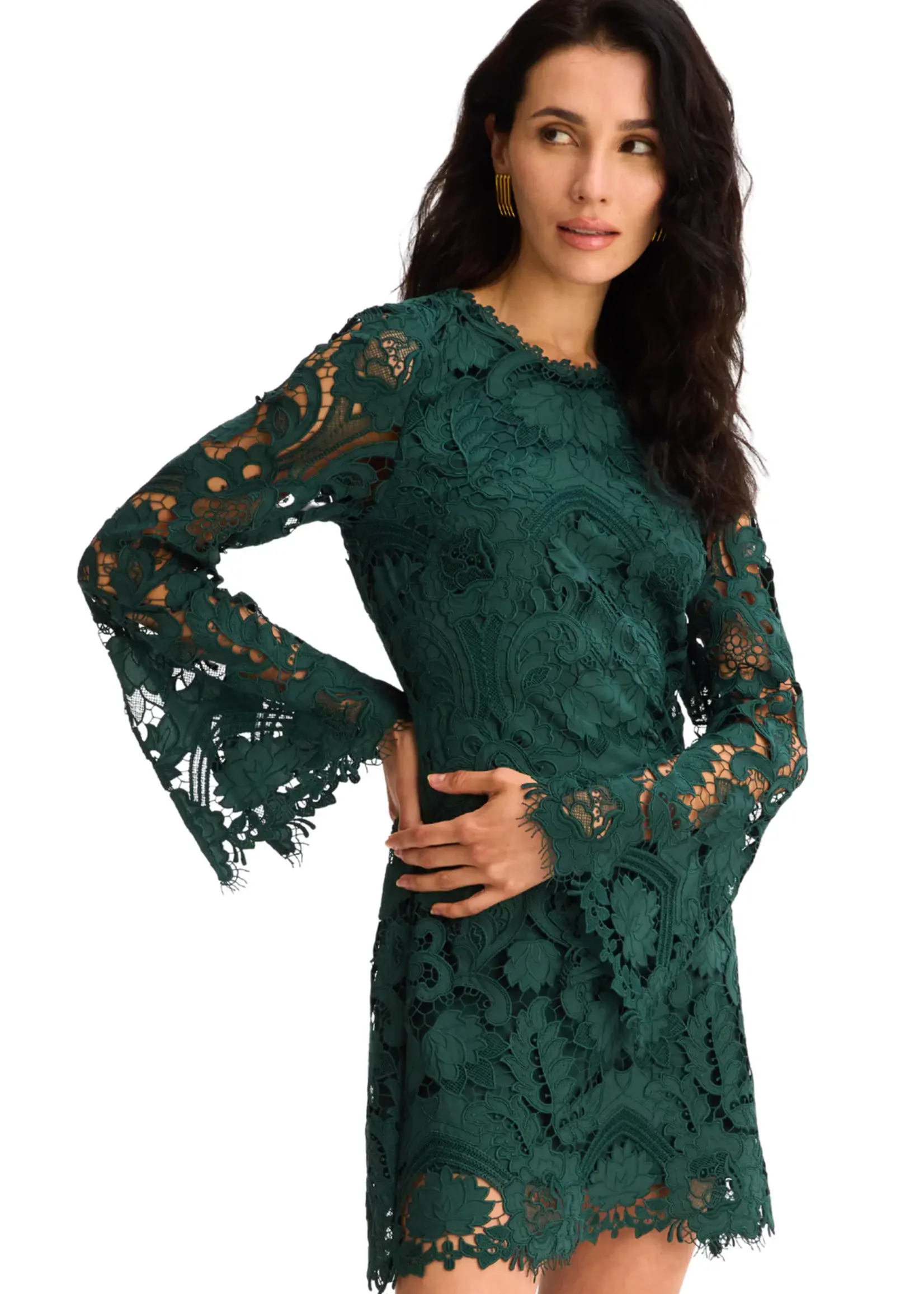 Allison Allison Daisey Lace Dress