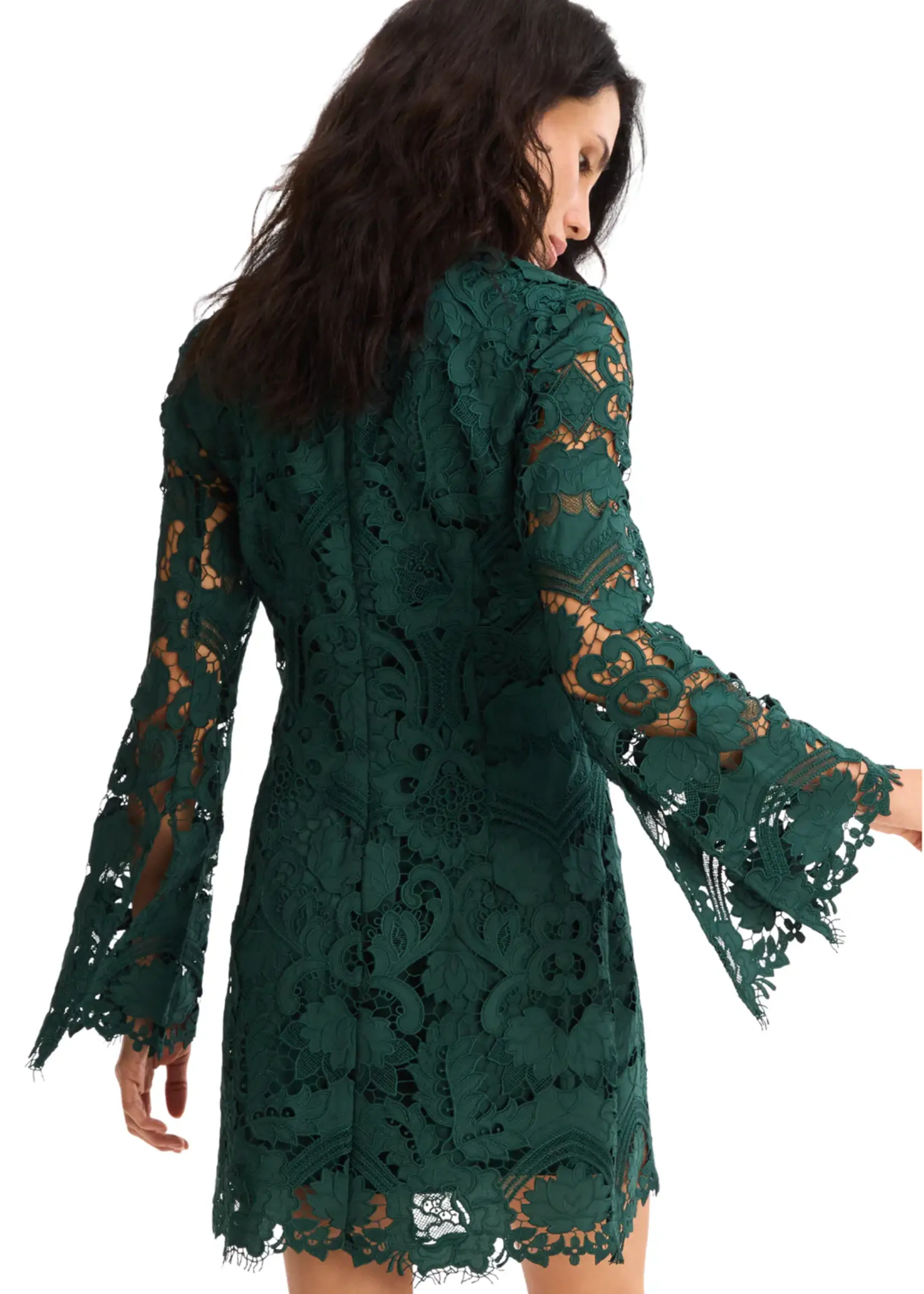 Allison Allison Daisey Lace Dress