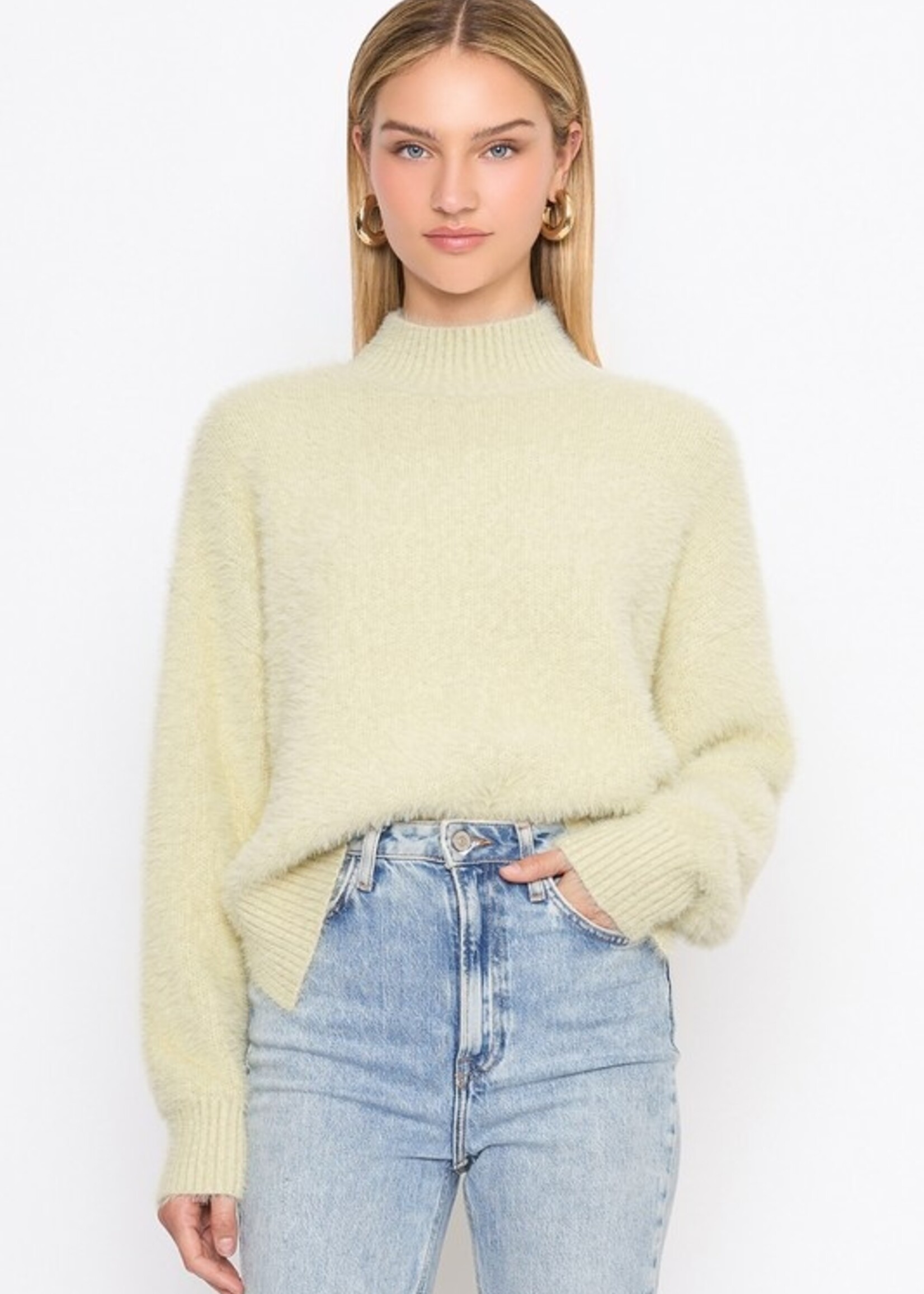 Delly Delly Fuzzy Moch Neck Sweater