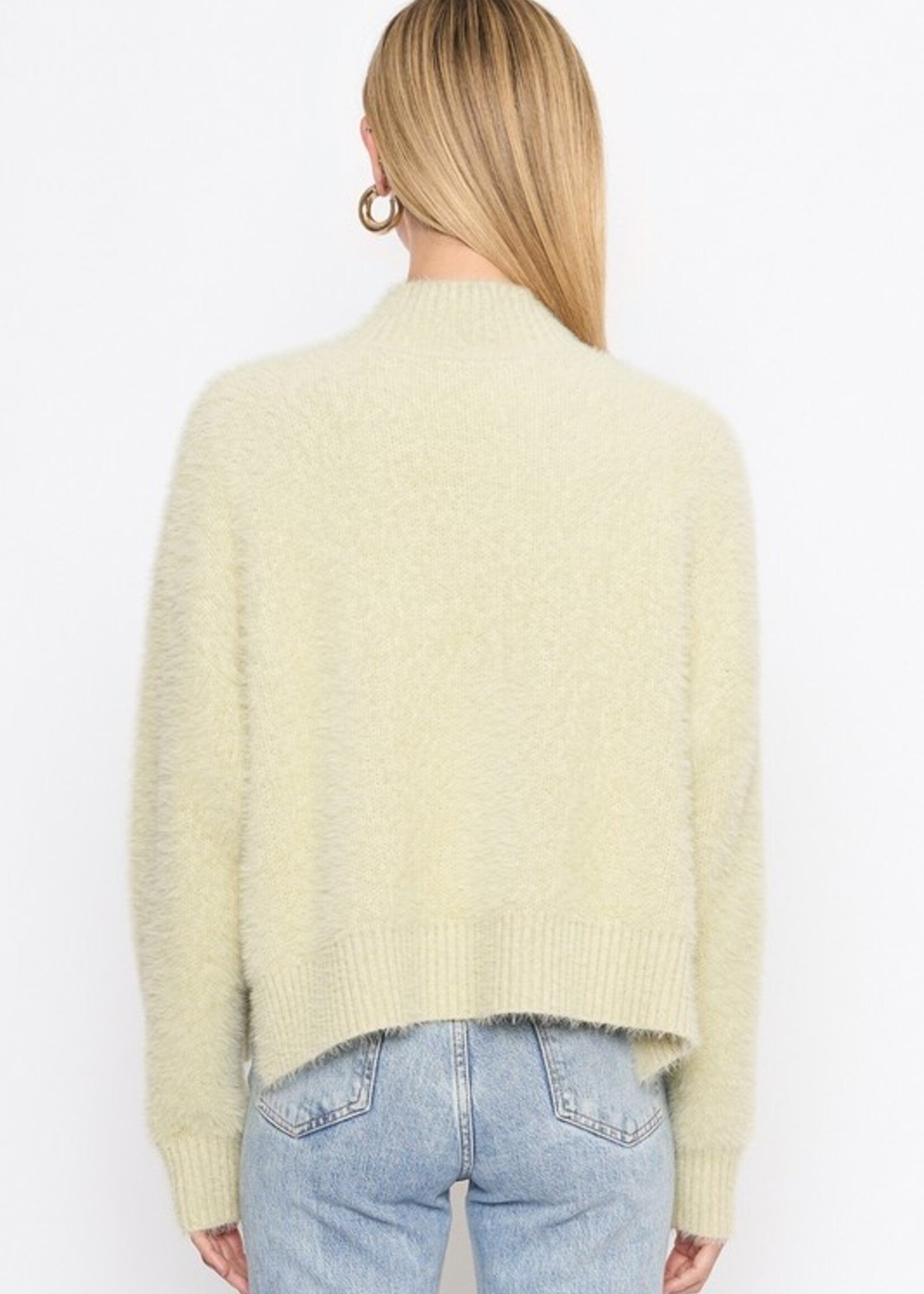 Delly Delly Fuzzy Moch Neck Sweater