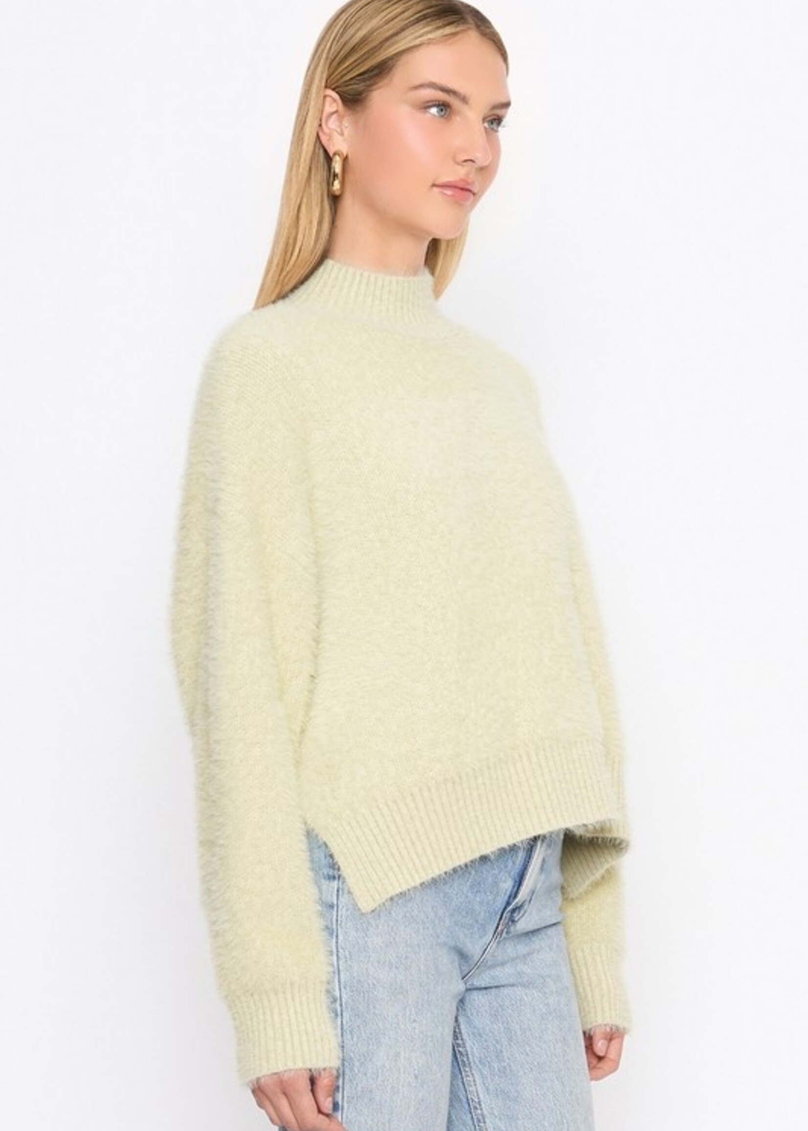 Delly Delly Fuzzy Moch Neck Sweater