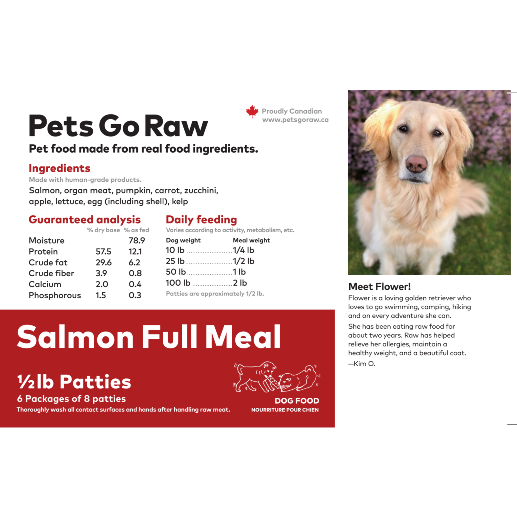 Pets Go Raw Salmon Full Meal -24lb Bulk