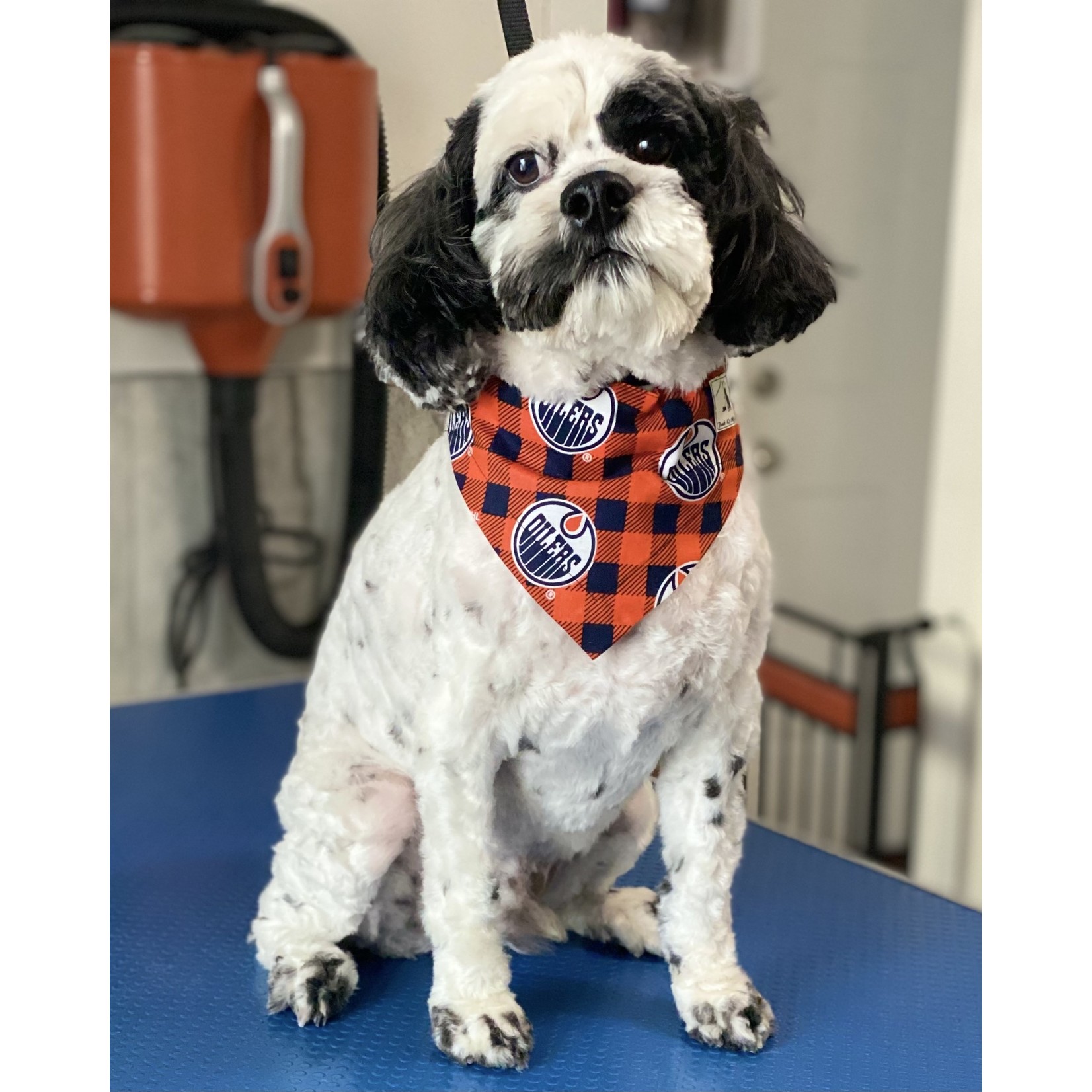 Peak K9 Wellness Oilers Bandanna