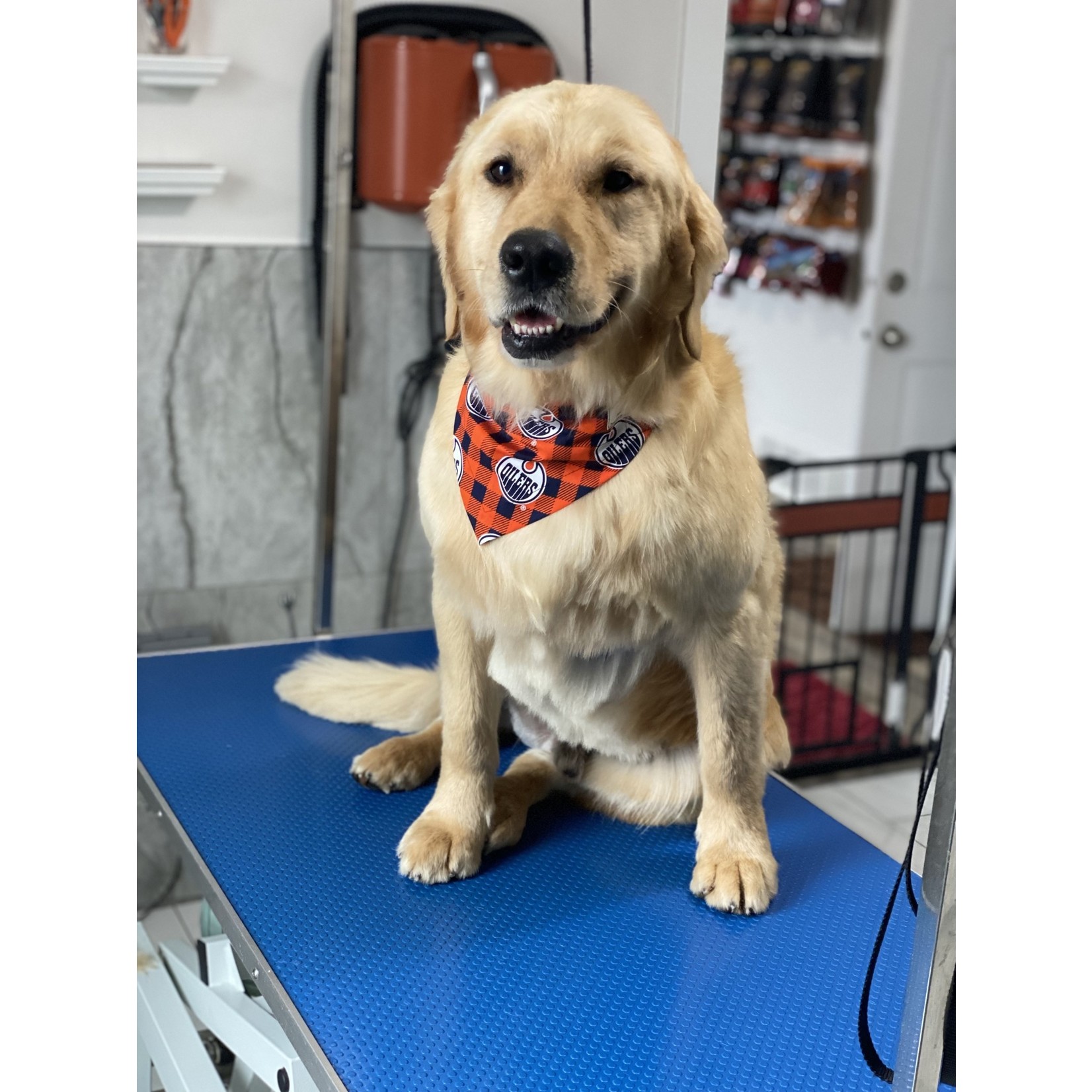 Peak K9 Wellness Oilers Bandanna