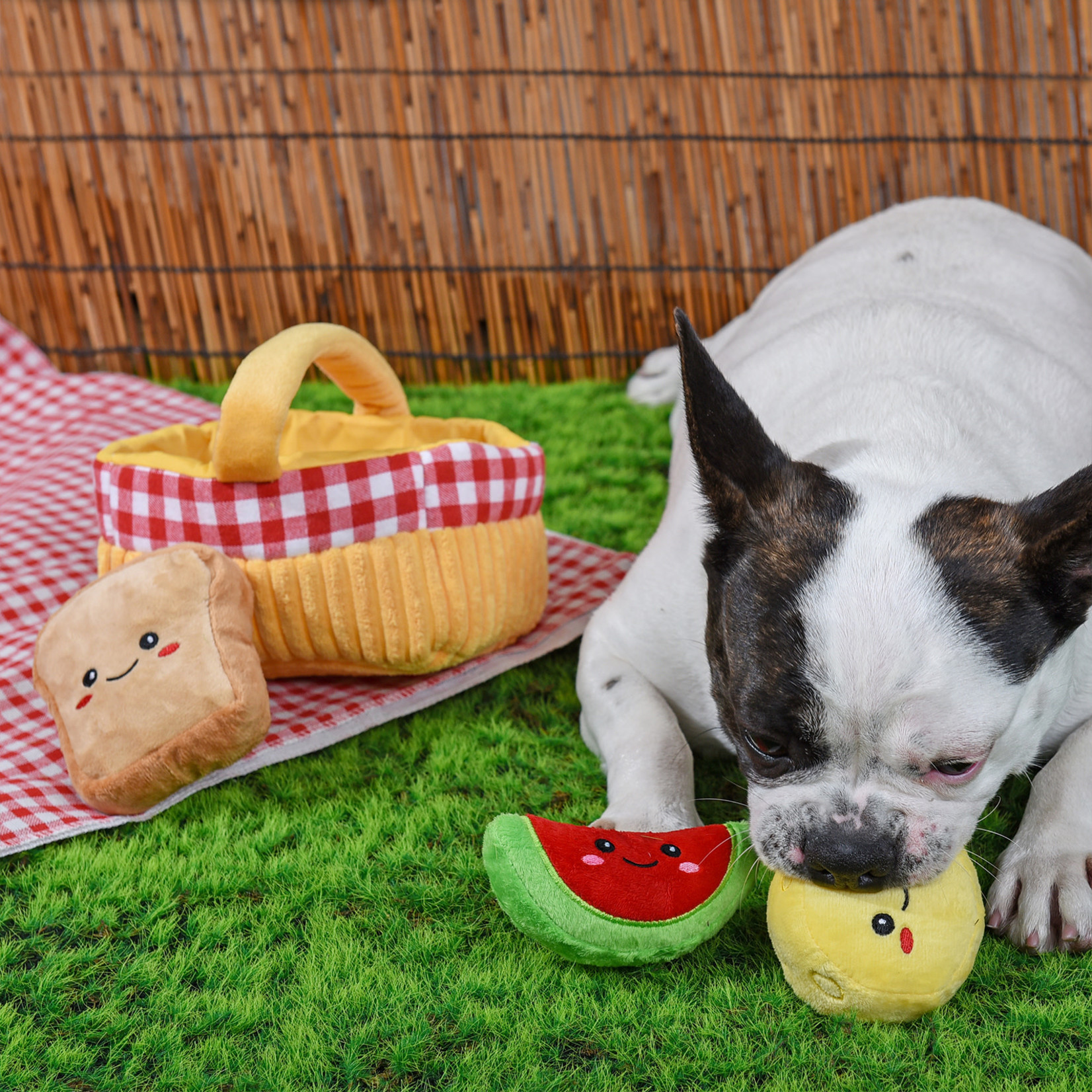 HugSmart Picnic Basket