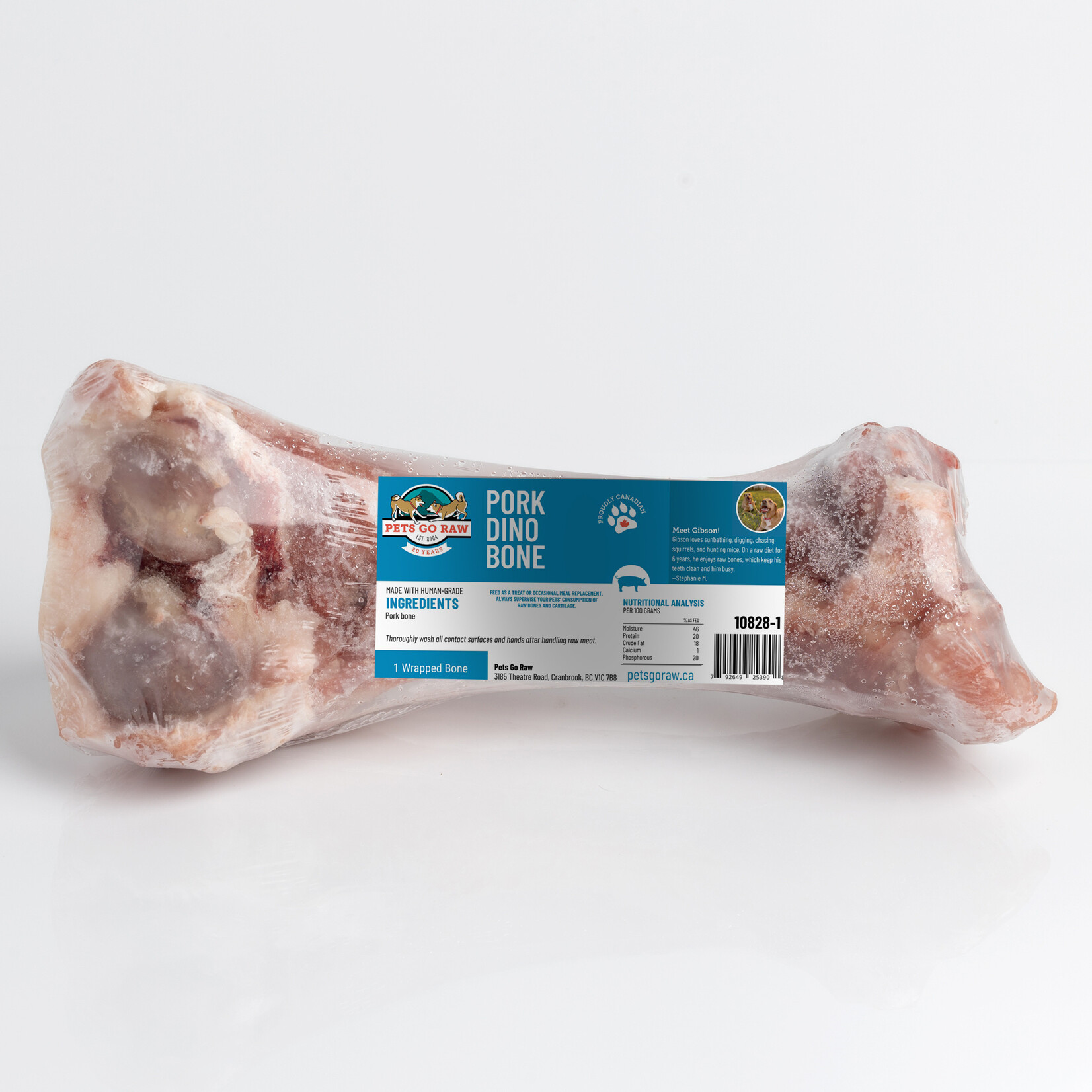 Pets Go Raw Pork Dino Bone
