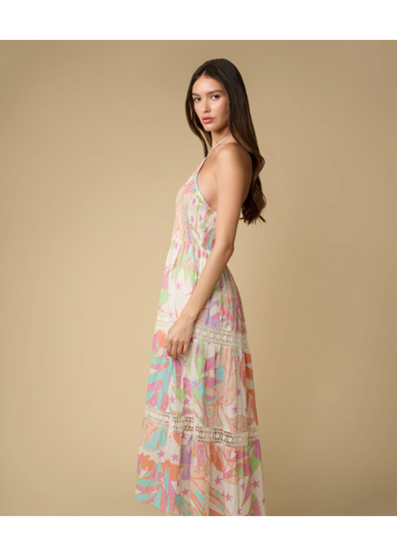 Z&L Z&L Aisha Maxi Dress