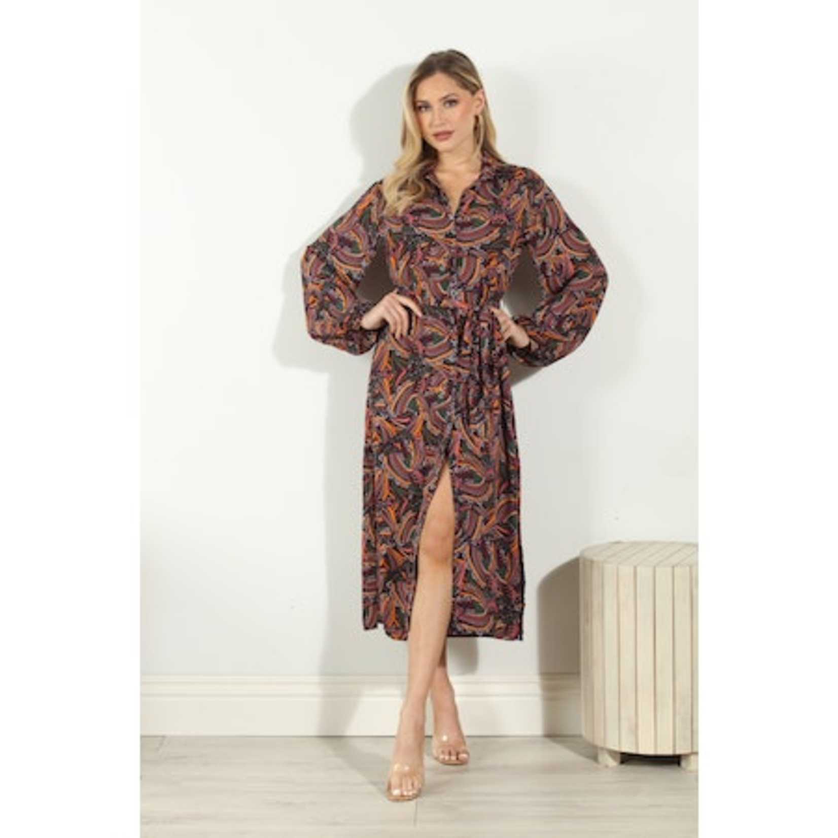 Veronica M VM L/S Shirt Dress