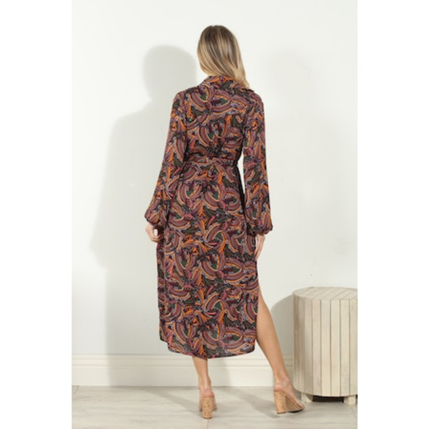 Veronica M VM L/S Shirt Dress