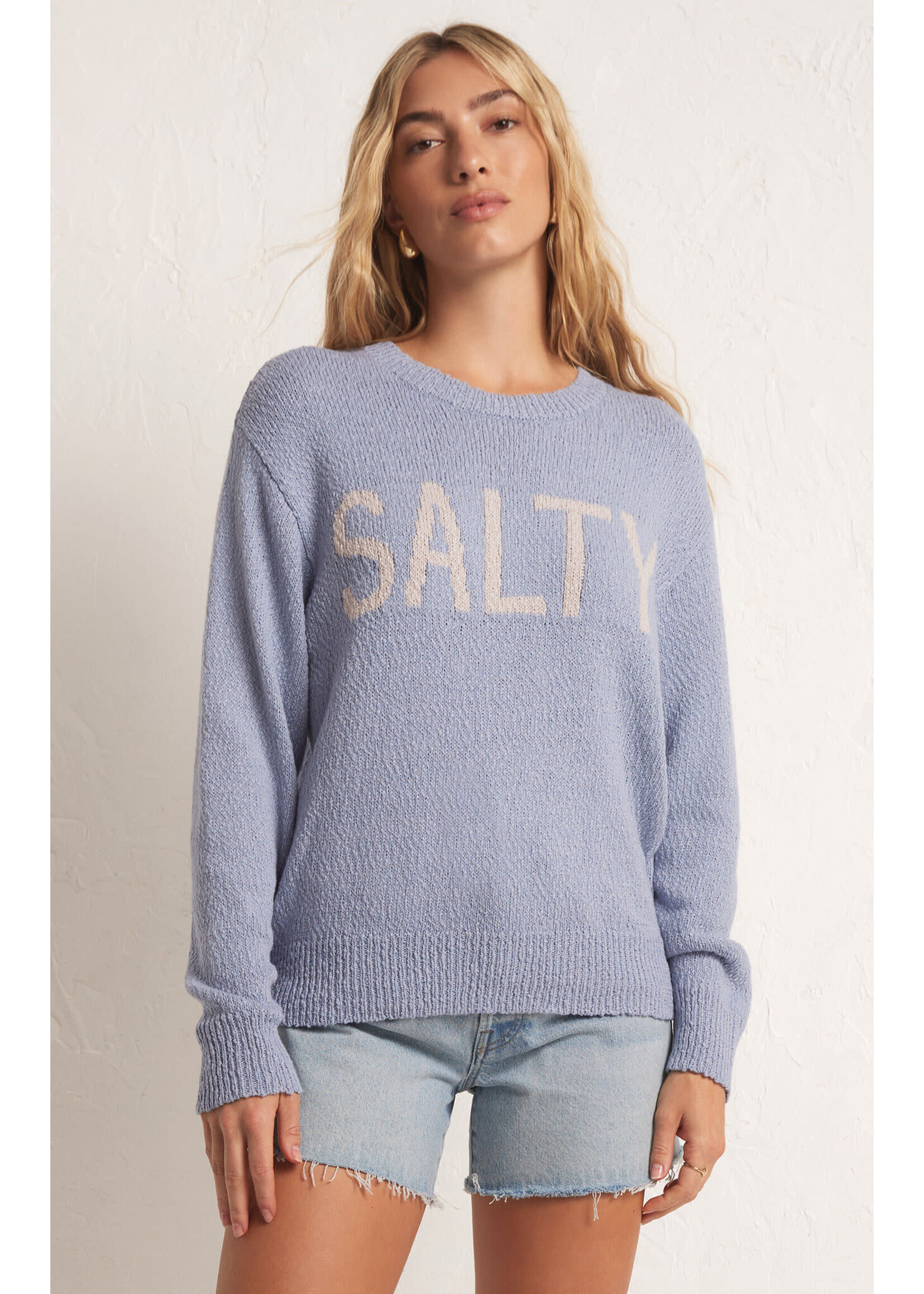 Z Supply ZS Waves & Salt Sweater