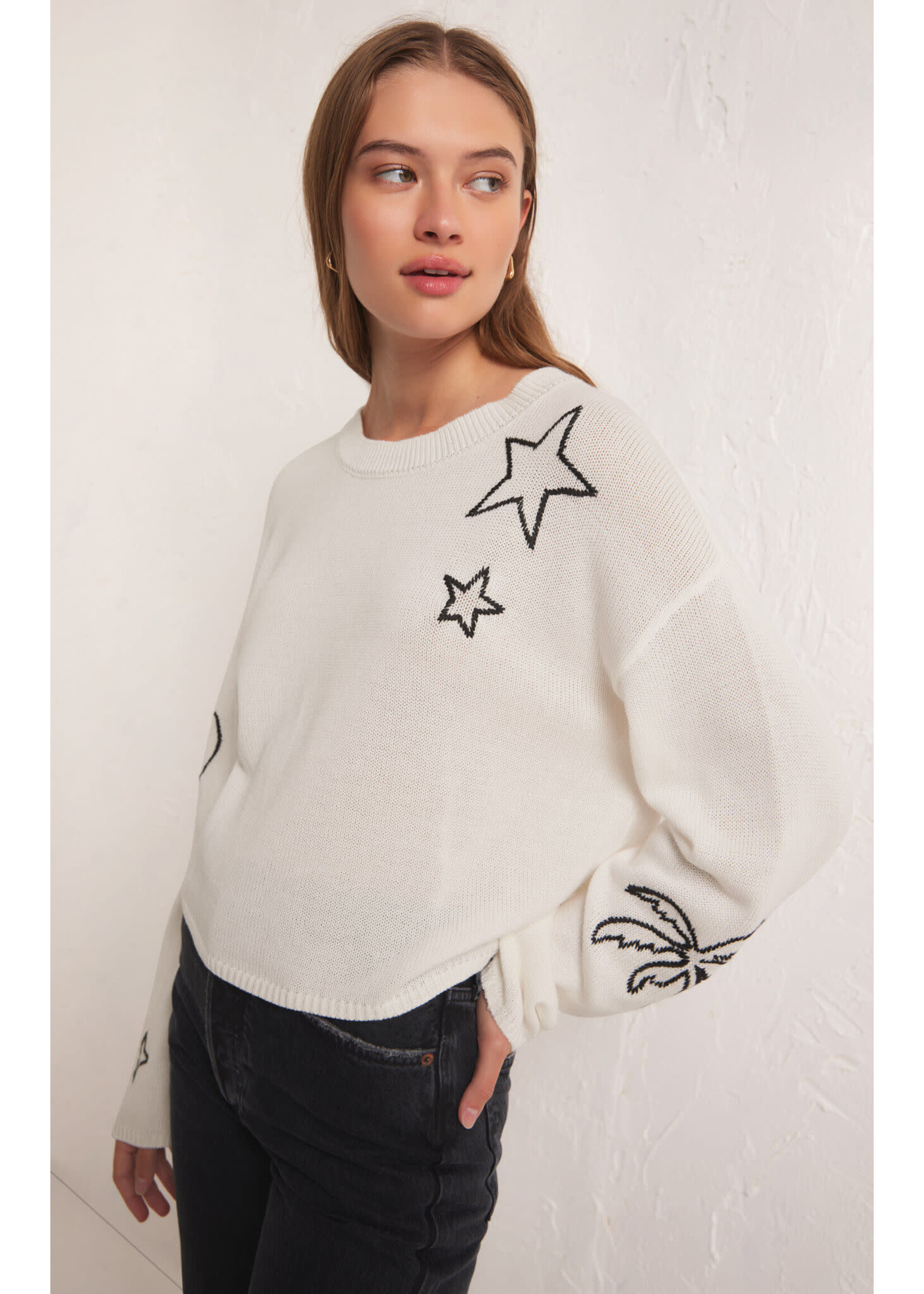 Z Supply ZS Cooper Icon SWeater