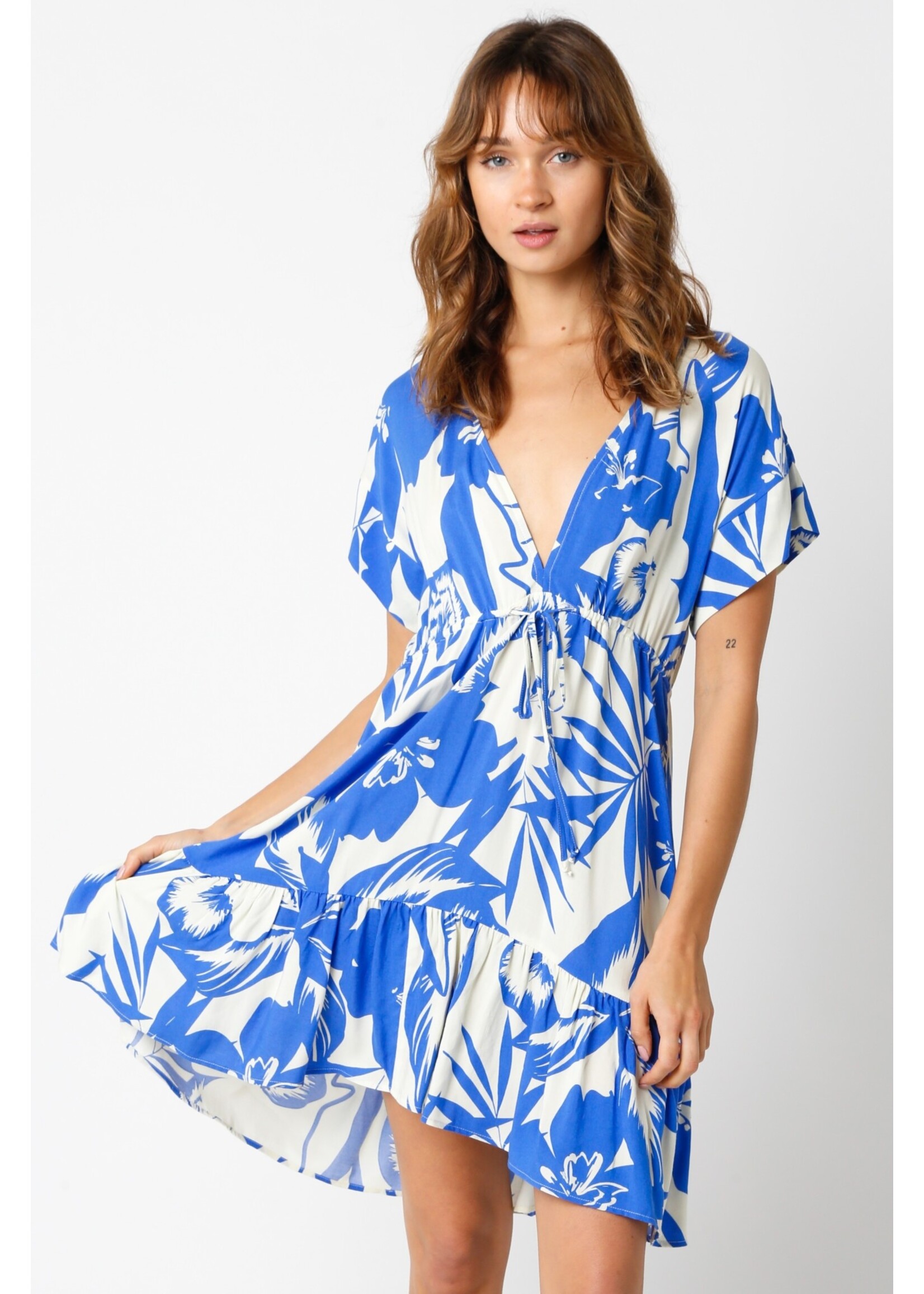 olivaceous O Blue Floral Dress