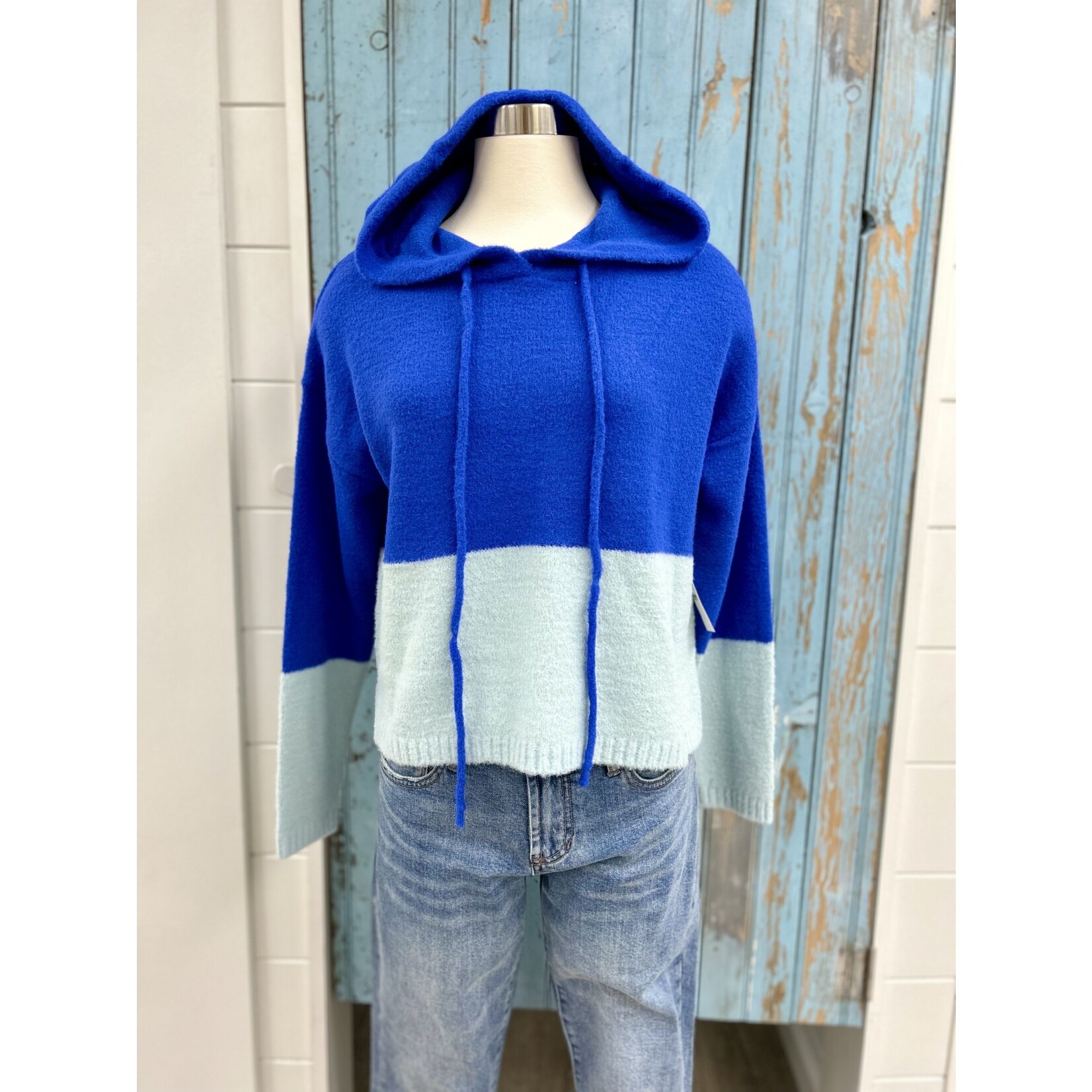 Theo & Spence TS Two Tone Fuzzy Hoodie
